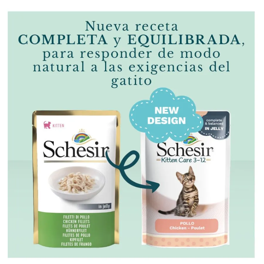 Schesir Kitten pollo sobre para gatitos Clearance