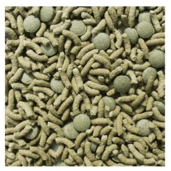 Sera Raffy Vital Comida para reptiles herbívoros