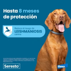 Seresto Collar Antiparasitario para perros Hot