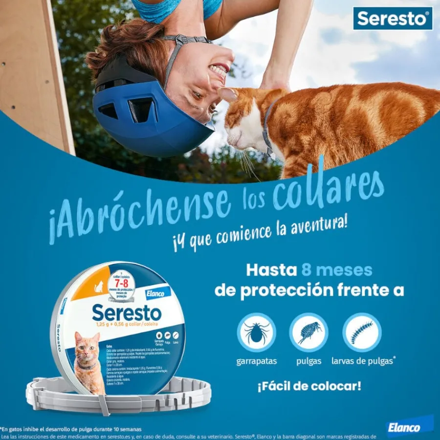 Seresto Collar Antiparasitario para gatos Outlet