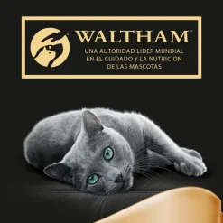 Sheba Delicatezze Selección Mixta Gelatina en Bolsita para Gatos - Multipack