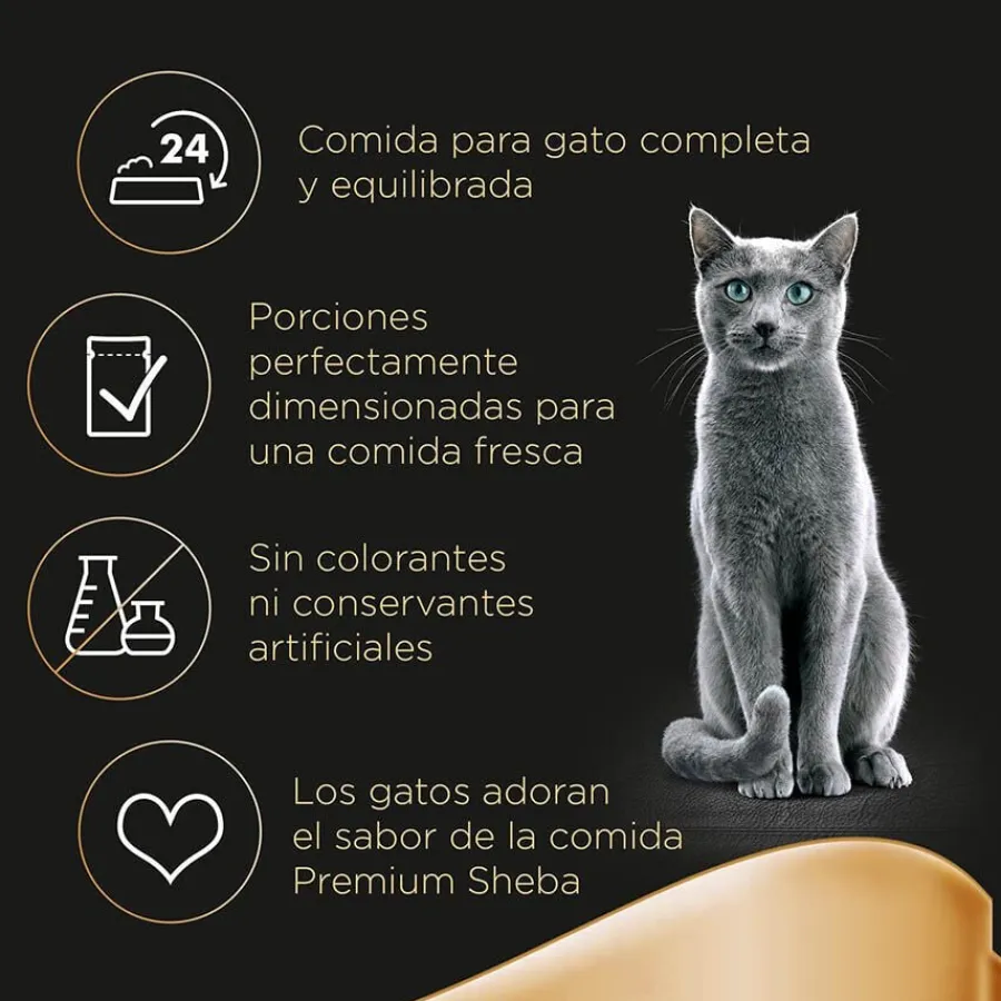 Sheba Délices du Jour en Salsa de pollo, pavo y pato alimento húmedo para gatos