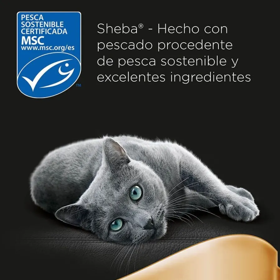 Sheba Délices du Jour en Salsa de atún, Bacalao y Pescado Blanco alimento húmedo para gatos