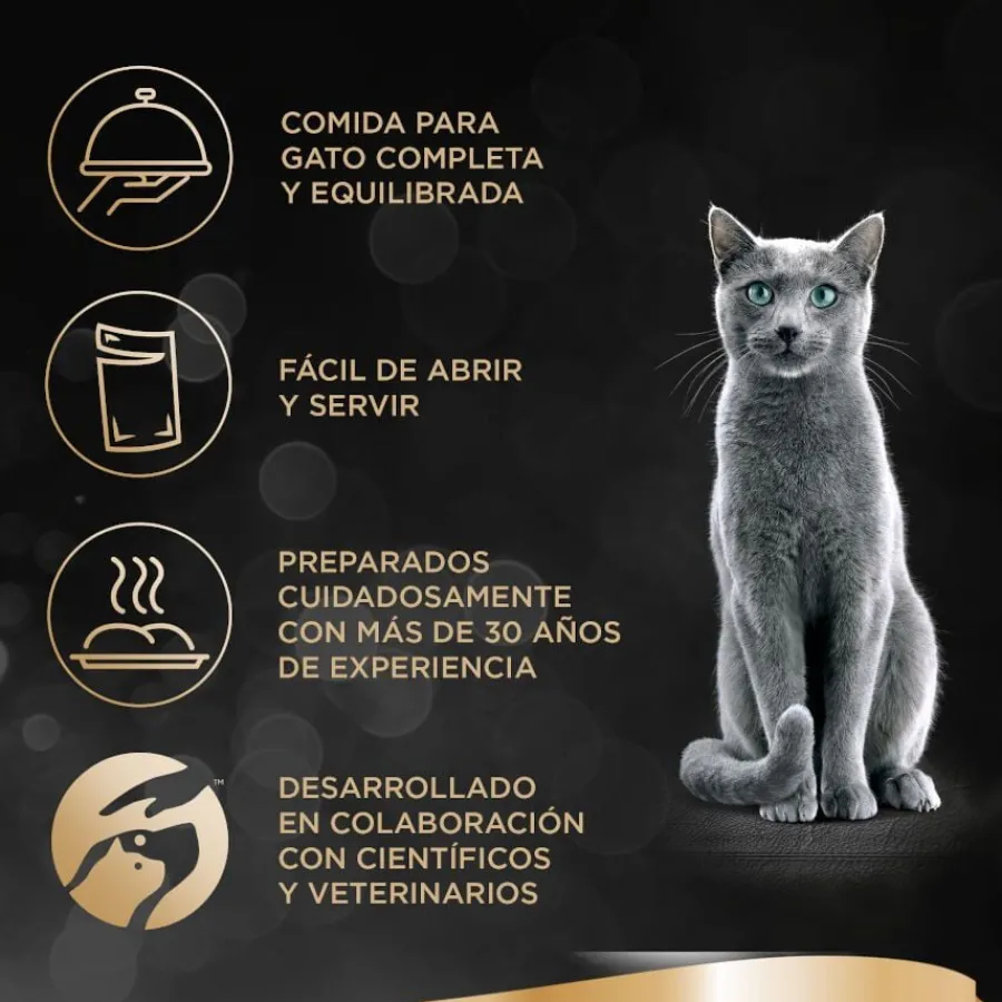 Sheba Finesse Pollo en Paté tarrina para gatos Best