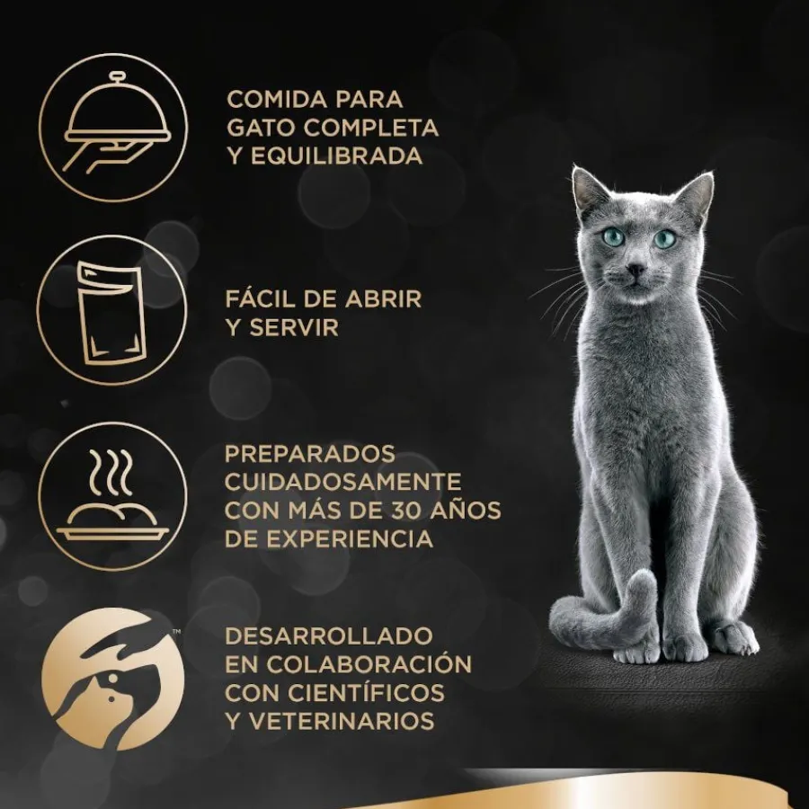 Sheba Nature Collection Pollo en Salsa tarrina para gatos New