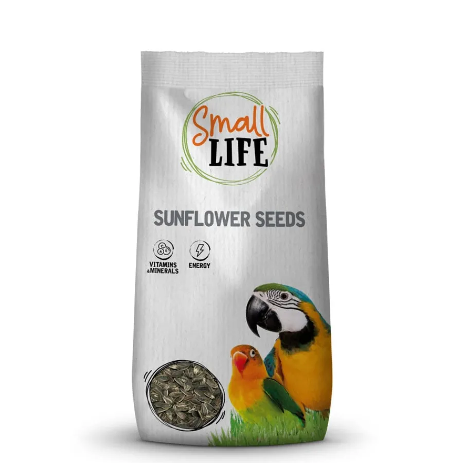 Small Life Pipas de Girasol para Aves Clearance