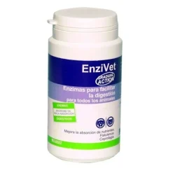 Stangest Enzivet Enzimas Digestivas para perros y gatos Outlet