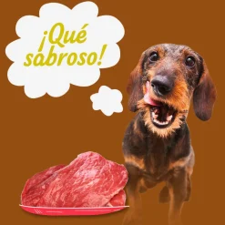 Start ! Adult Pollo, Ternera y Cordero en Salsa lata para perros – Multipack Outlet
