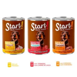 Start ! Adult Pollo, Ternera y Cordero en Gelatina lata para perros Outlet