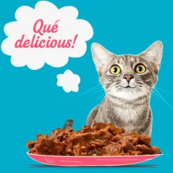 Start Cat Carne con Pollo y Pescado en Gelatina sobre para gatos Sale