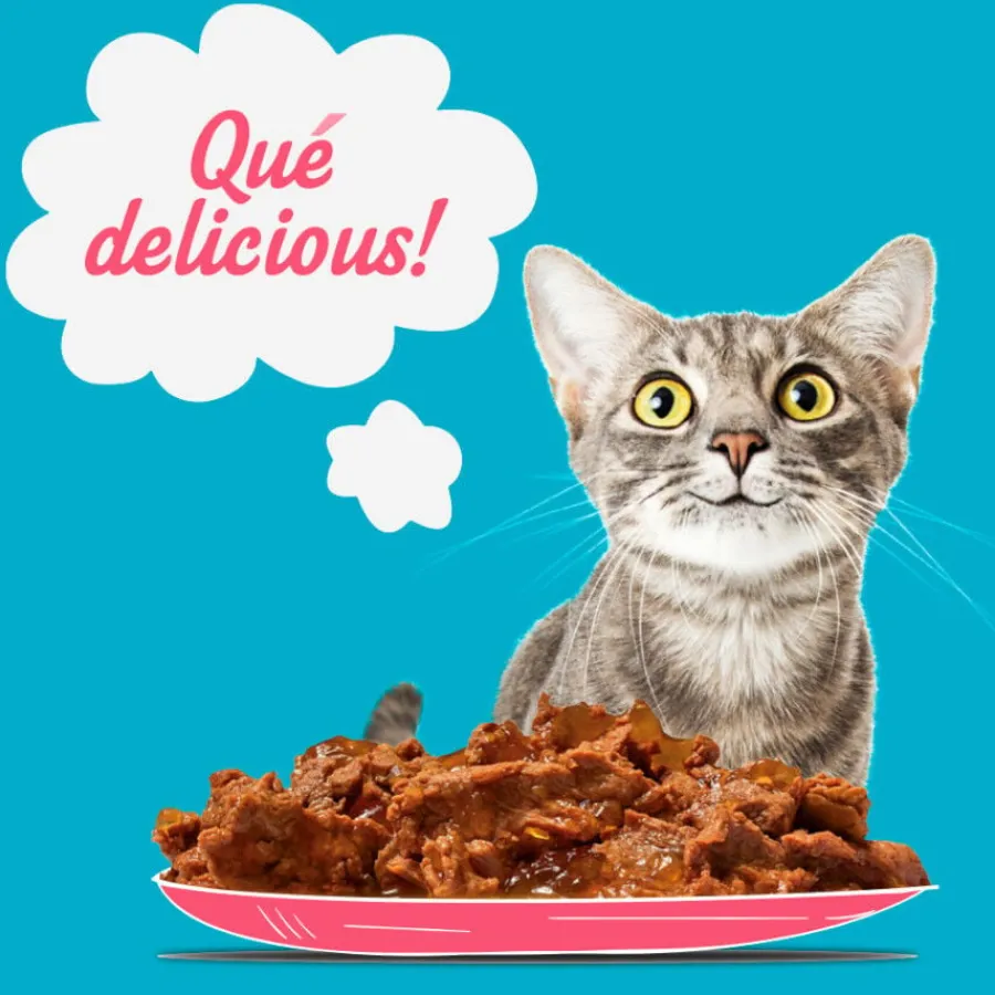 Start Cat Carne con Pollo y Pescado en Gelatina sobre para gatos Sale