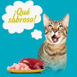 Start Multipack de Carne en Salsa para Gatos Best