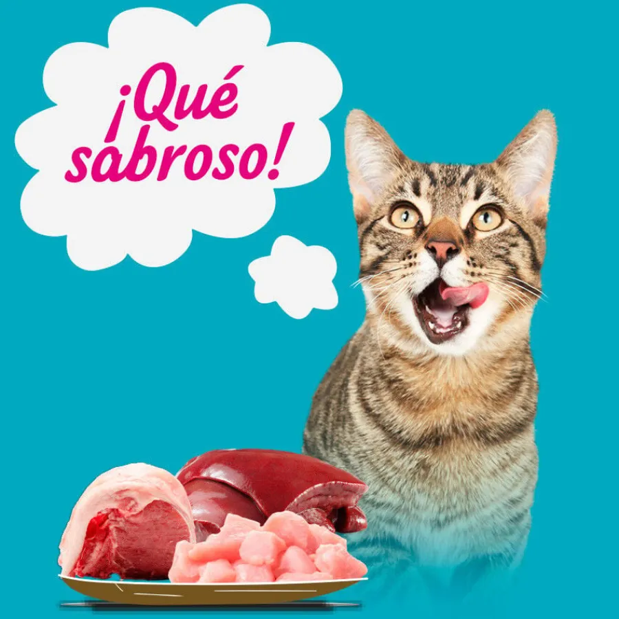 Start Multipack de Carne y Pescado en Gelatina para Gatos