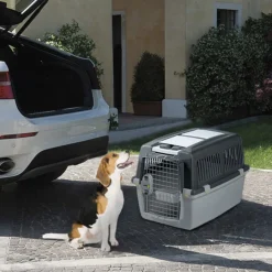 Stefanplast Gulliver 4 IATA Transportín para perros Hot