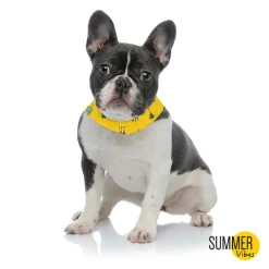 Summer Vibes Bandana refrescante para perros New