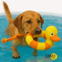 Summer Vibes Pato de juguete para perros Sale