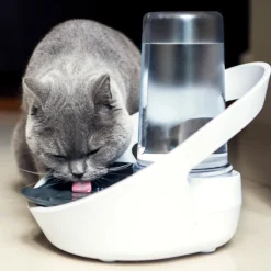 Sure Petcare Felaqua Connect Bebedero Automático para gatos Hot