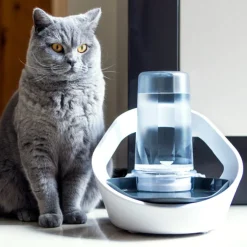 Sure Petcare Felaqua Connect Bebedero Automático para gatos Hot