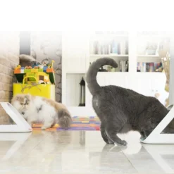 Sure Petcare Surefeed Comedero Automático con Microchip Hot