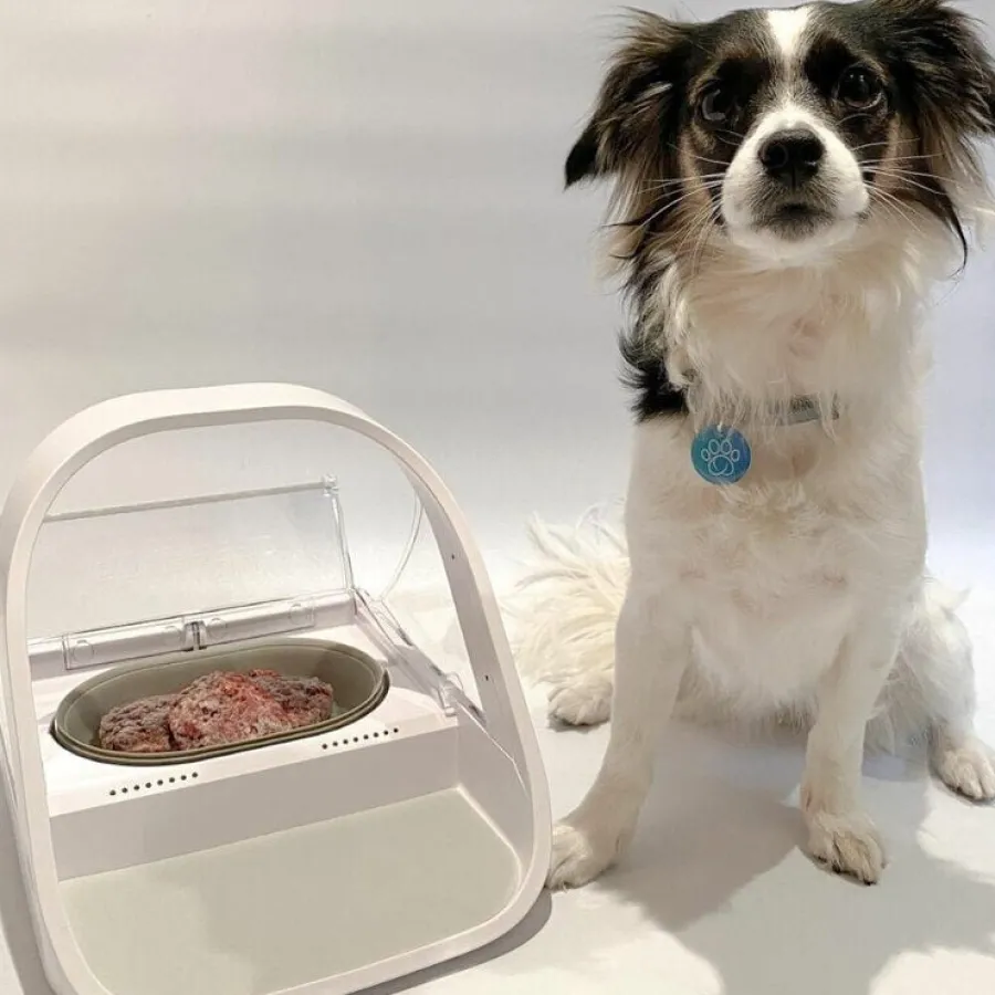 Sure Petcare Surefeed Comedero Automático con Microchip Hot