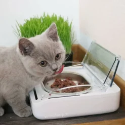 Sure Petcare Surefeed Comedero Automático con Microchip Hot