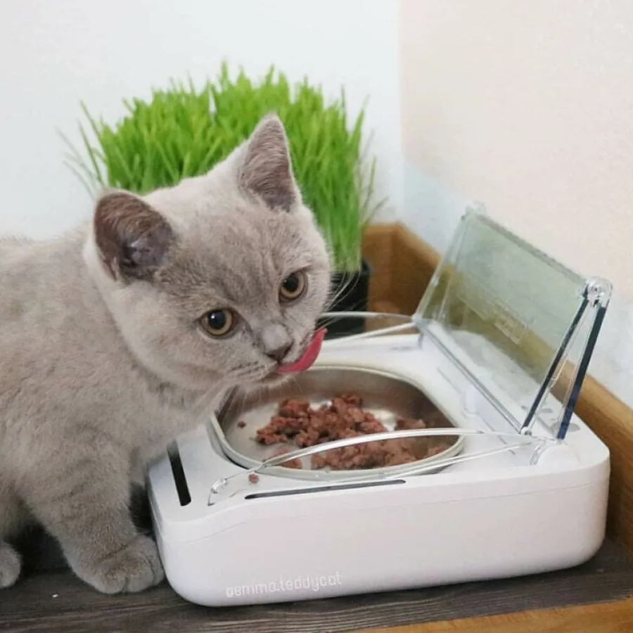 Sure Petcare Surefeed Comedero Automático con Microchip Hot