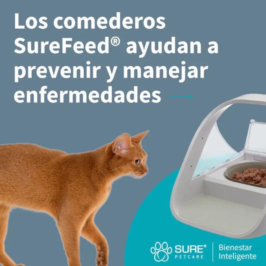 Sure Petcare Surefeed Comedero Automático con Microchip Hot