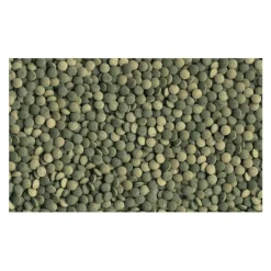 Tetra Pleco Tabletas Hot