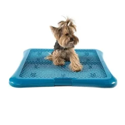 TK-Pet Bandeja de Adiestramiento para perros Best