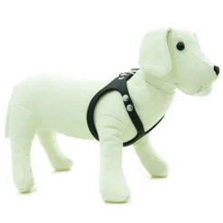 TK-Pet Namur Arnés de Cuero Negro para perros Discount