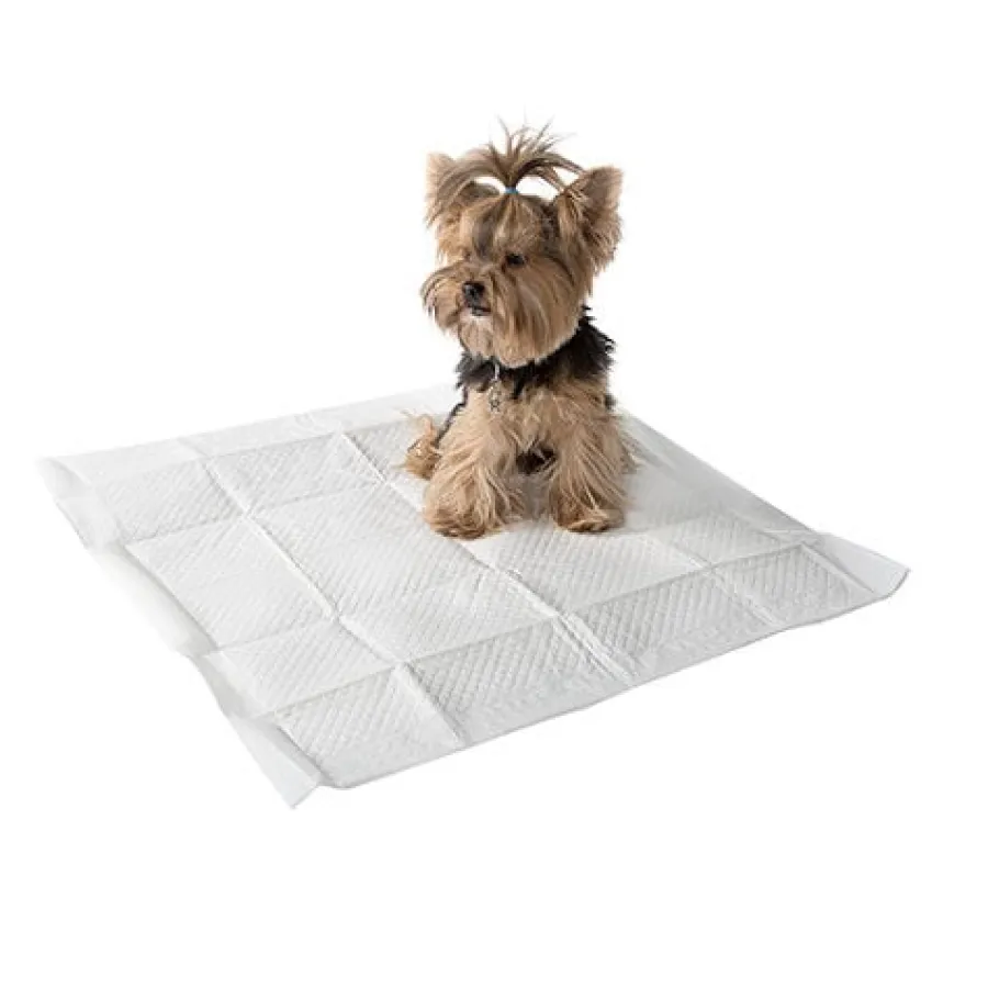 TK-Pet Pack 50 Empapadores Limón para perros Hot