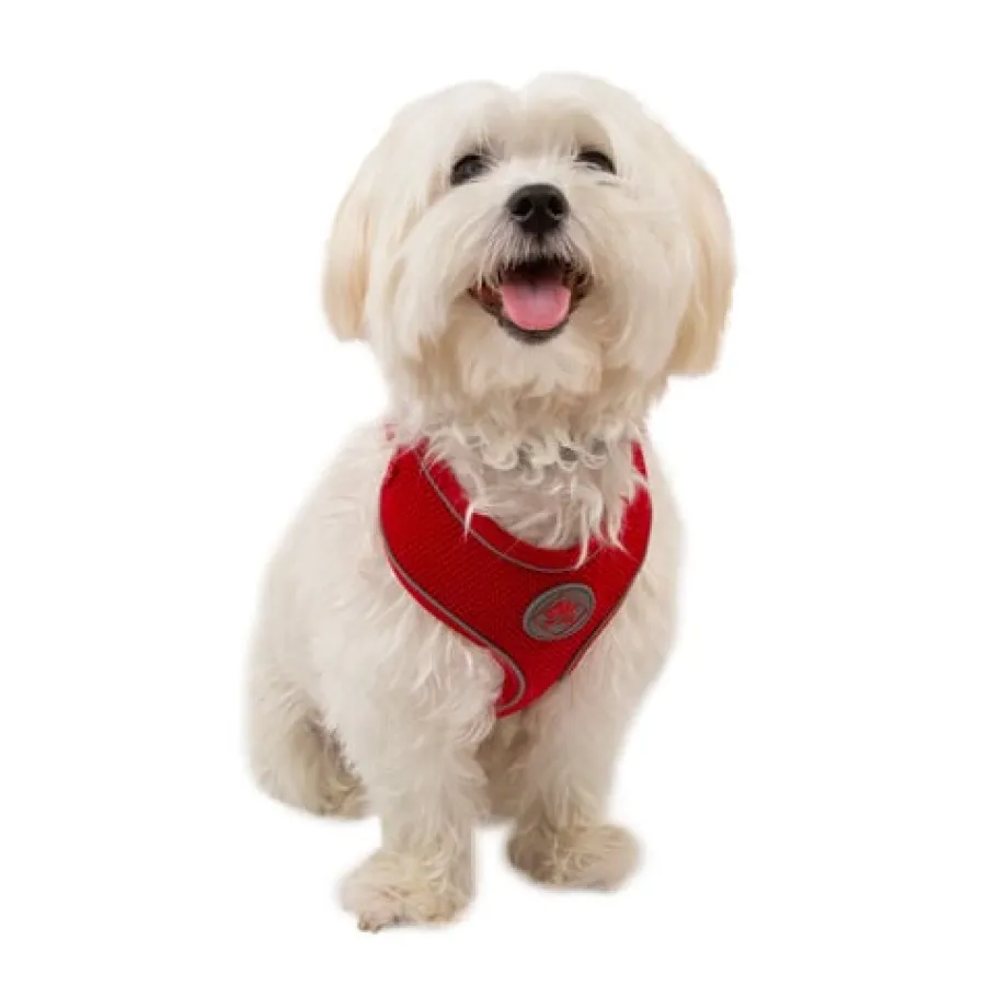 TK-Pet Soft Arnés Reflectante Rojo para perros New