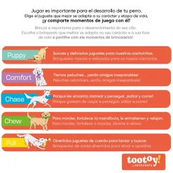 Tootoy! Birthday Hat Multicolor Tarta de Cumpleaños Peluche para perros Outlet