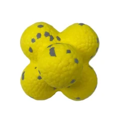 Tootoy! Chase Floating Balls pelota acuática para perros Best
