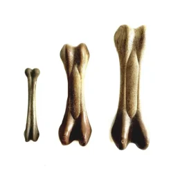 Tootoy! Chew Dental Bone Bacon mordedor para perros Clearance