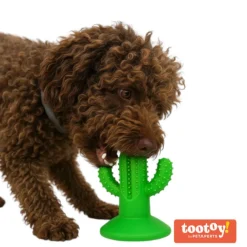 Tootoy! Chew Dental Hygiene Cactus mordedor para perros Online