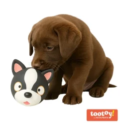 Tootoy! Chew French Bulldog mordedor de látex con sonido para perros Discount