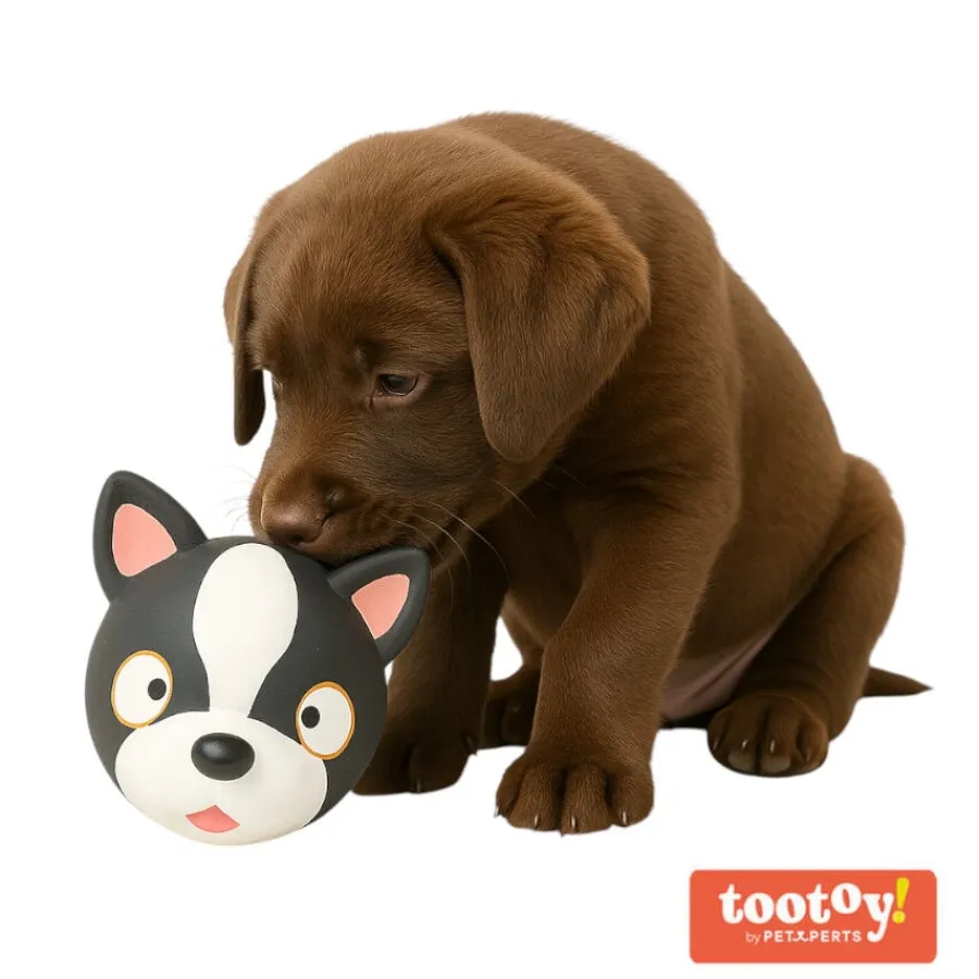 Tootoy! Chew French Bulldog mordedor de látex con sonido para perros Discount