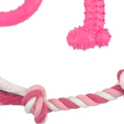 Tootoy! Chew Teething Set Rosa de mordedores para cachorros New
