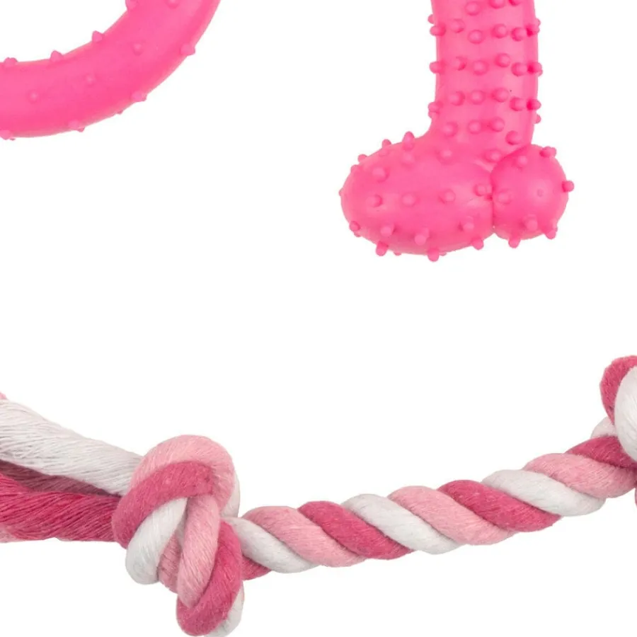 Tootoy! Chew Teething Set Rosa de mordedores para cachorros New