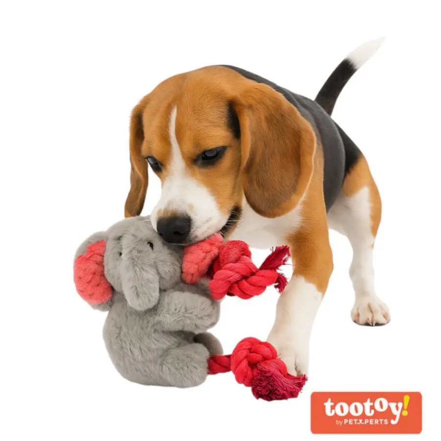 Tootoy! Comfort Climbing Elephant Cuddler peluche para perros