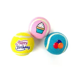Tootoy! Comfort Happy Birthday Pack de pelotas para perro Sale