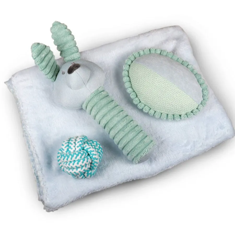 Tootoy! Comfort Pack de Bienvenida para cachorros New