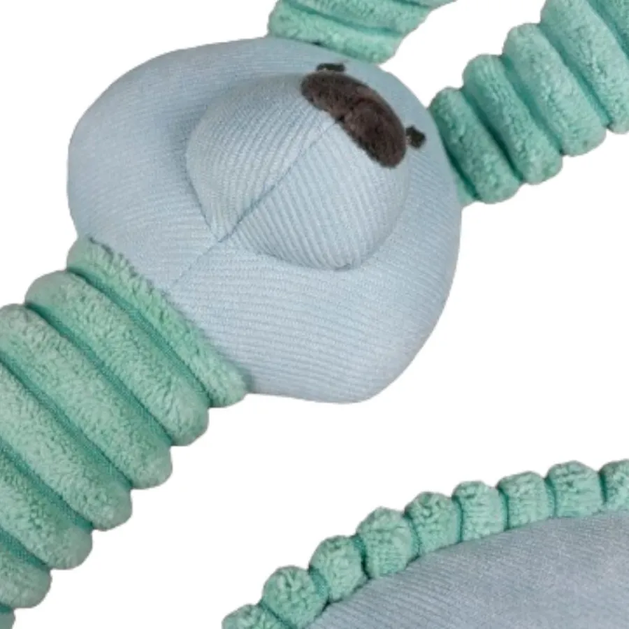 Tootoy! Comfort Pack de Bienvenida para cachorros New