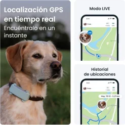 Tractive GPS Dog 6 Marrón Rastreador para perros Hot