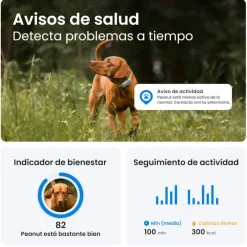 Tractive GPS Dog 6 Marrón Rastreador para perros Hot