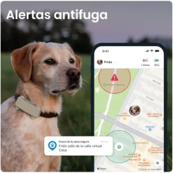 Tractive GPS Dog 6 Marrón Rastreador para perros Hot