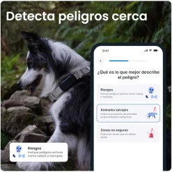 Tractive GPS Dog 6 Menta Rastreador para perros