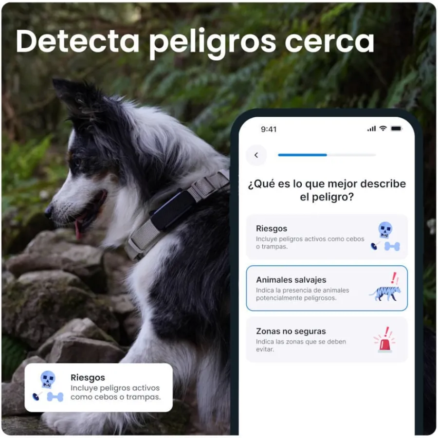 Tractive GPS Dog 6 Menta Rastreador para perros
