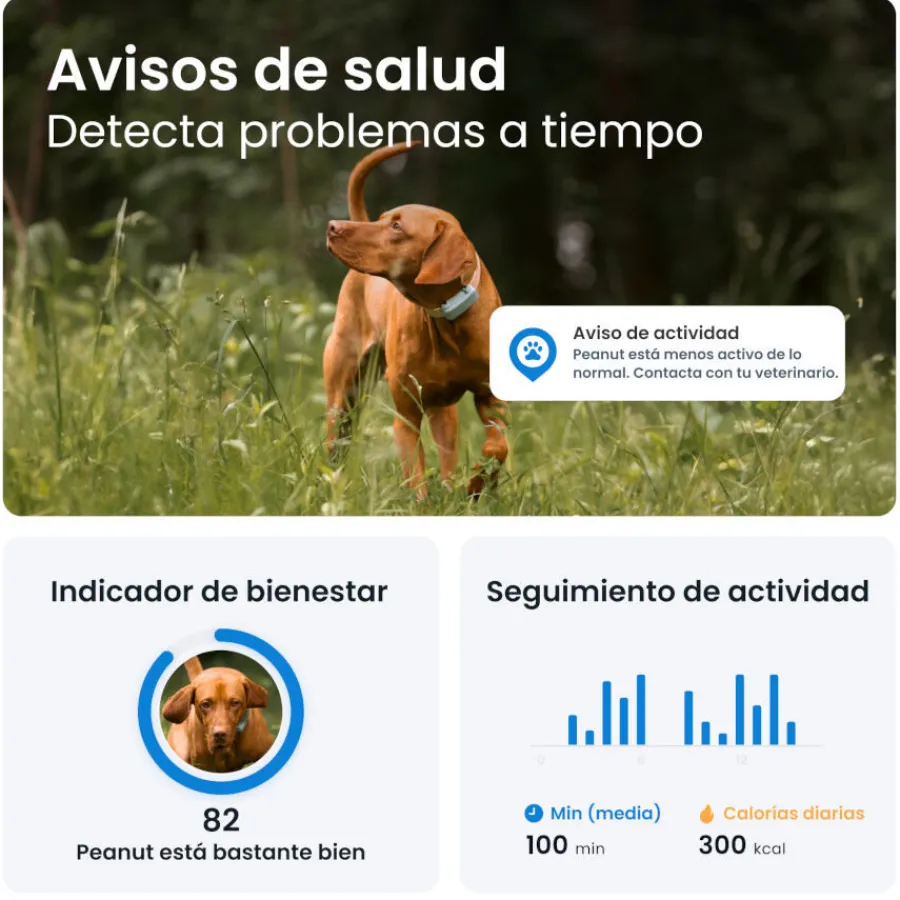 Tractive GPS Dog 6 Menta Rastreador para perros
